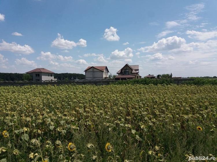 Teren de 756 mp, în Frumușani