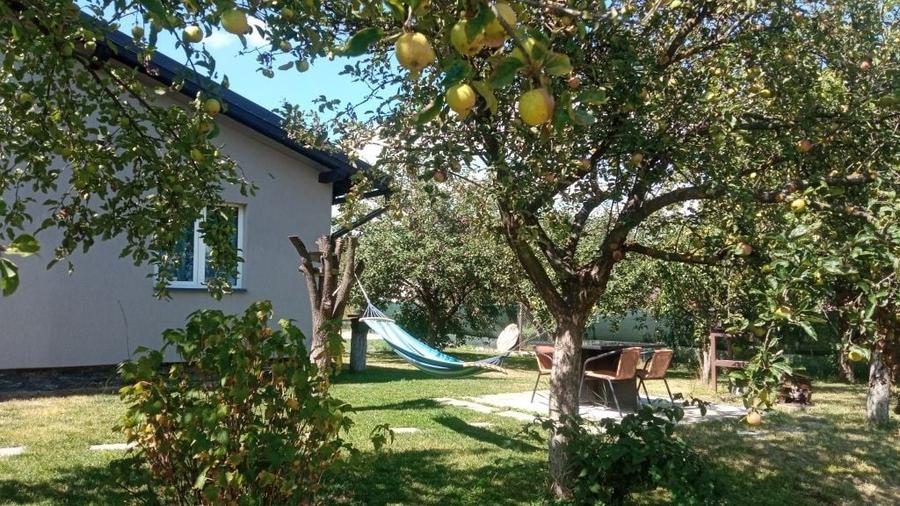 Casa de vanzare zona panoramica Toplita Imobiliare - 3
