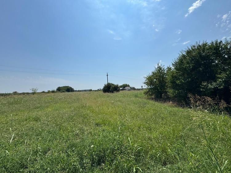 Teren Construcții intravilan de 11200 mp, în Gruiu