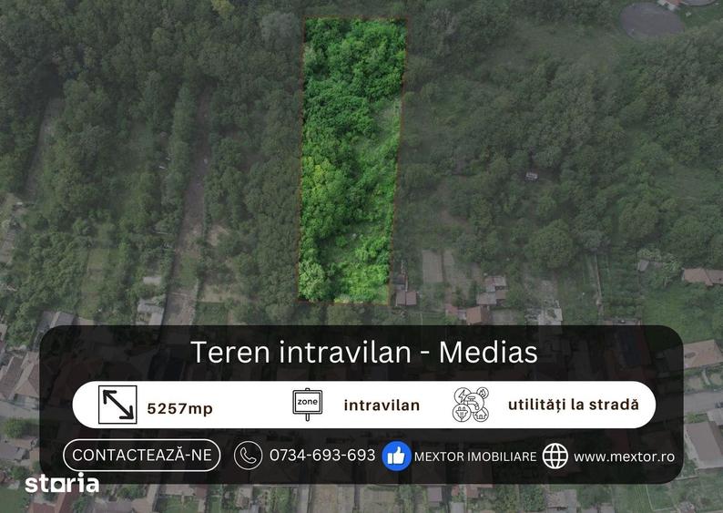Teren intravilan Medias - 3