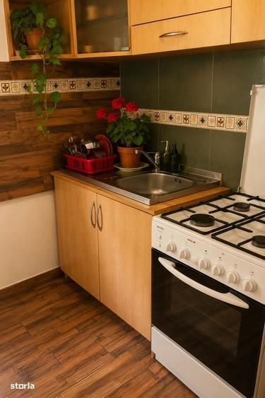 Casa de vacanta in Campu Cetatii,teren 2.400 mp, langa rau si padure - 1