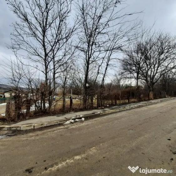 Teren în Central