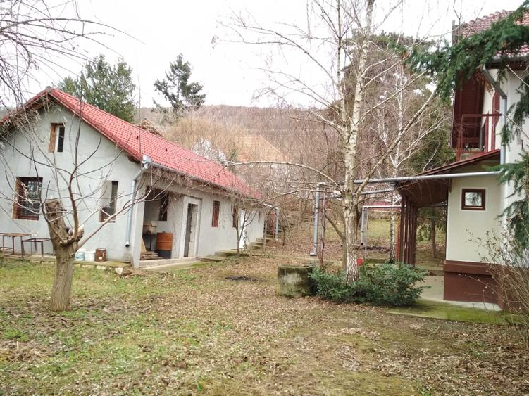 Casă cu 4 camere în Covăsinț