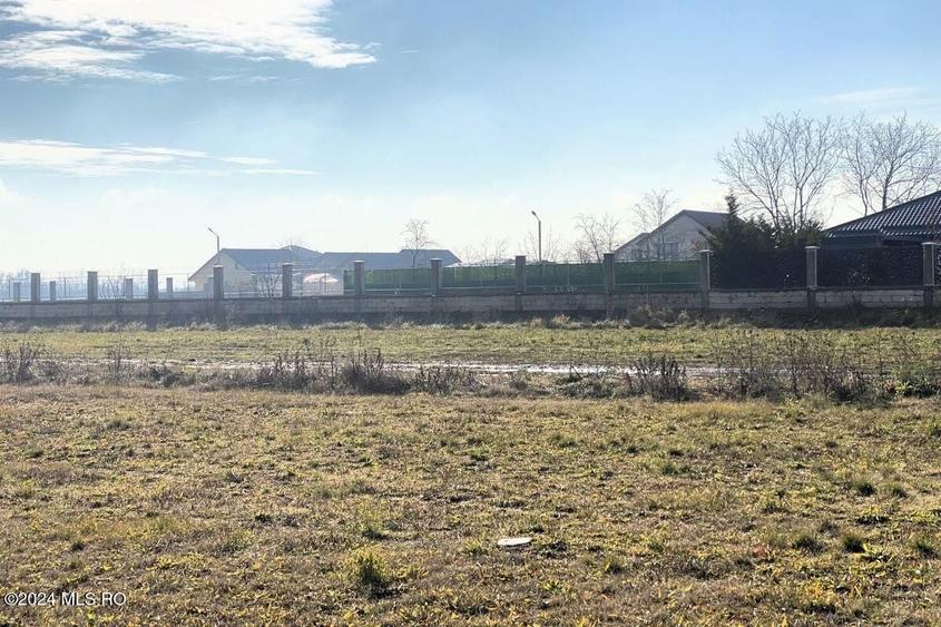 Teren Construcții intravilan de 2409 mp, în Afumați