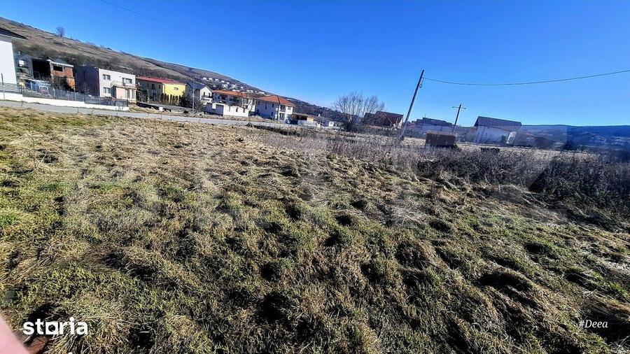 Teren de 556 mp, în Chinteni