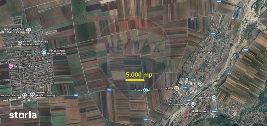 Teren de 5000 mp, în Tărlungeni