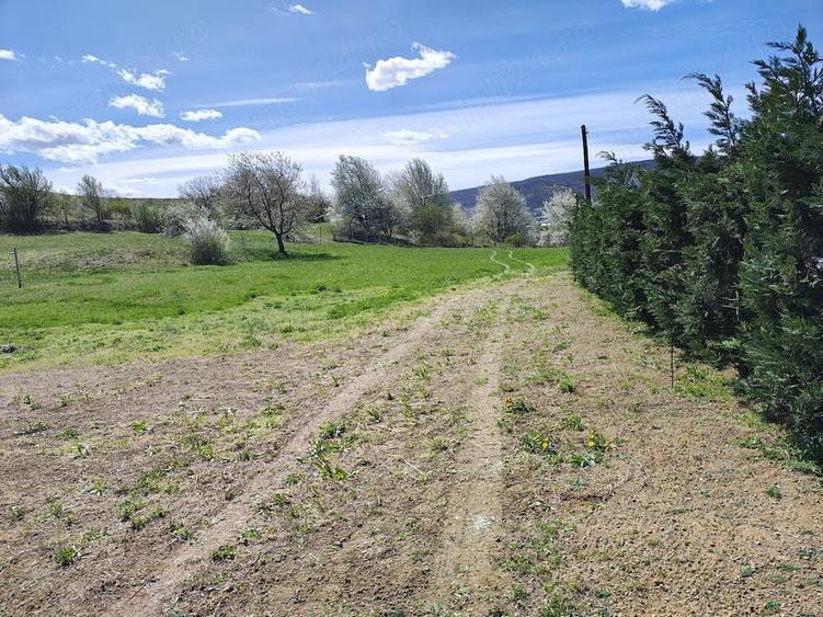 Teren de 3100 mp, în Moldovenești