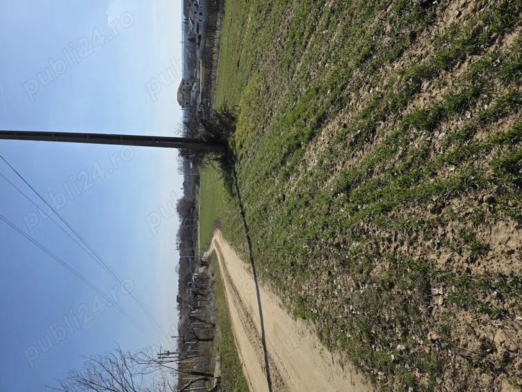 Teren de 9900 mp, în Malu Mare