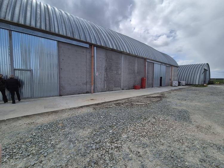 Teren Construcții intravilan de 15000 mp, în Agigea
