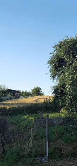 Teren de 2600 mp, în Udești