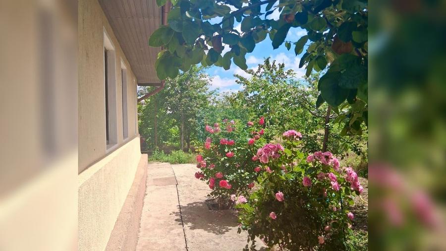 Casă cu 3 camere cu Teren 1550 Mp în Vânători