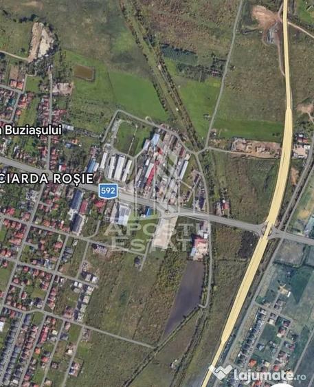 Teren în Buziașului