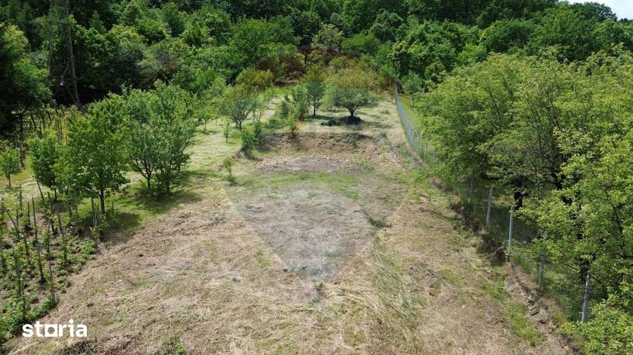 Teren de 1650 mp, în Valea Borcutului