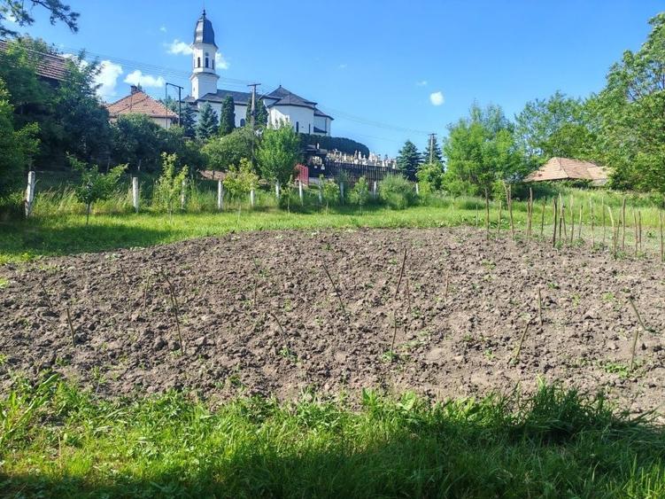 Casă cu 2 camere în Central