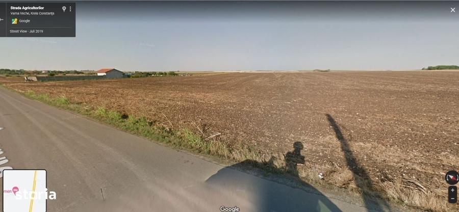 Teren Vama Veche 1,9ha (19.000m2) de la proprietar, strada asfaltata - 5