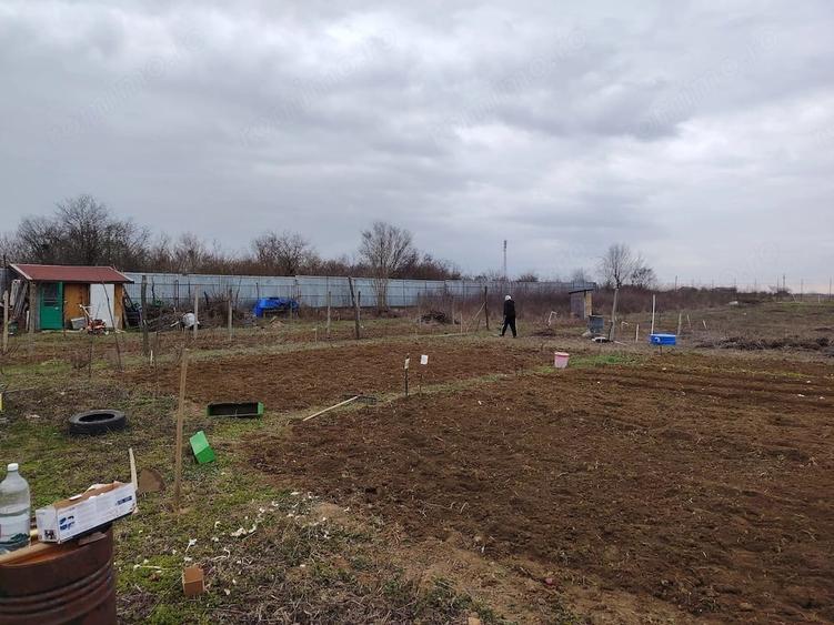 Teren de 5000 mp, în Corbii Mari