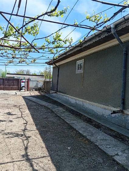 Teren de 860 mp, în Cotorca