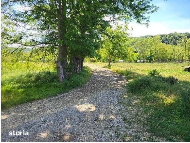 Teren de 1743 mp, în Tisău