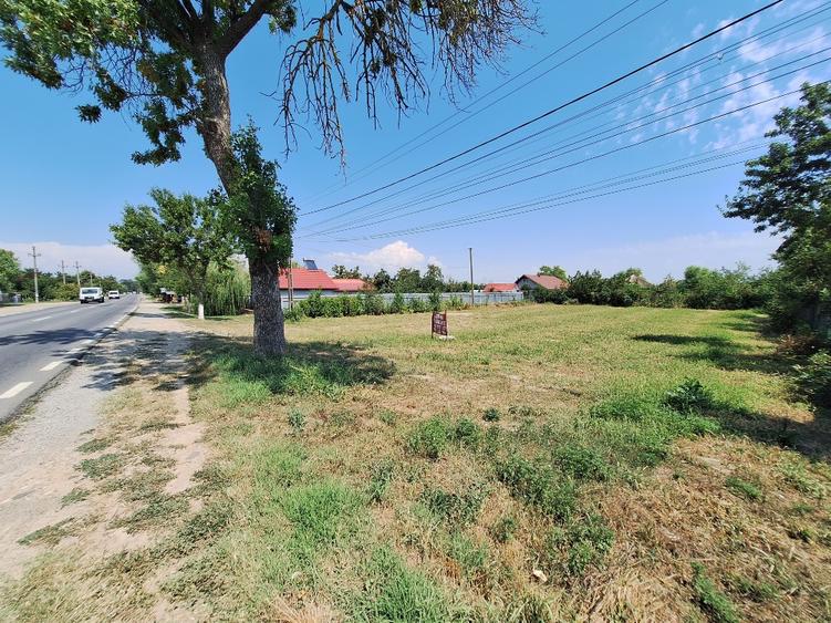 Teren Construcții intravilan de 1200 mp, în Dârza