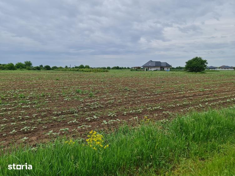 Teren de 1500 mp, în Moara Vlăsiei