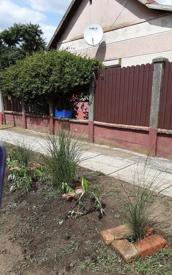 Casă cu 2 camere cu Teren 2700 Mp în Central