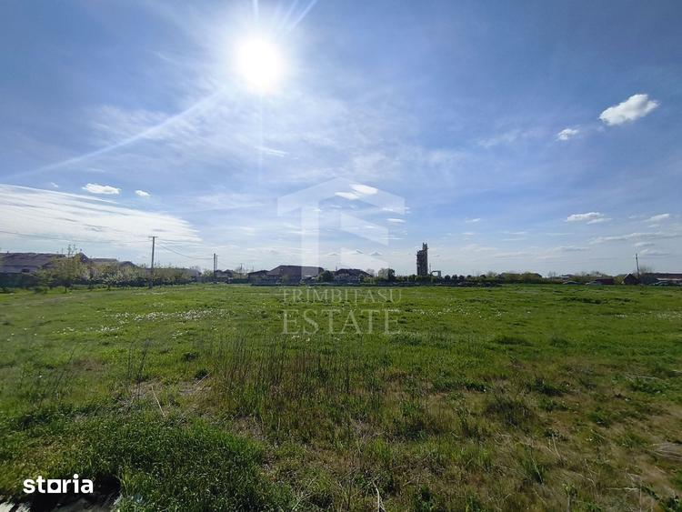 Casă cu 4 camere cu Teren 14340 Mp în Jebel
