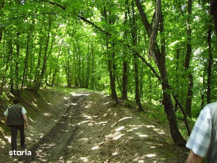 Teren de 90000 mp, în Central