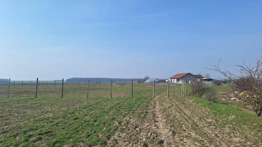 Teren Construcții intravilan de 6650 mp, în Bălăceanca