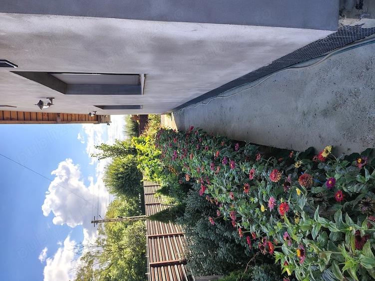 Casă cu 3 camere cu Teren 736 Mp în Brad (Berești-Bistrița)
