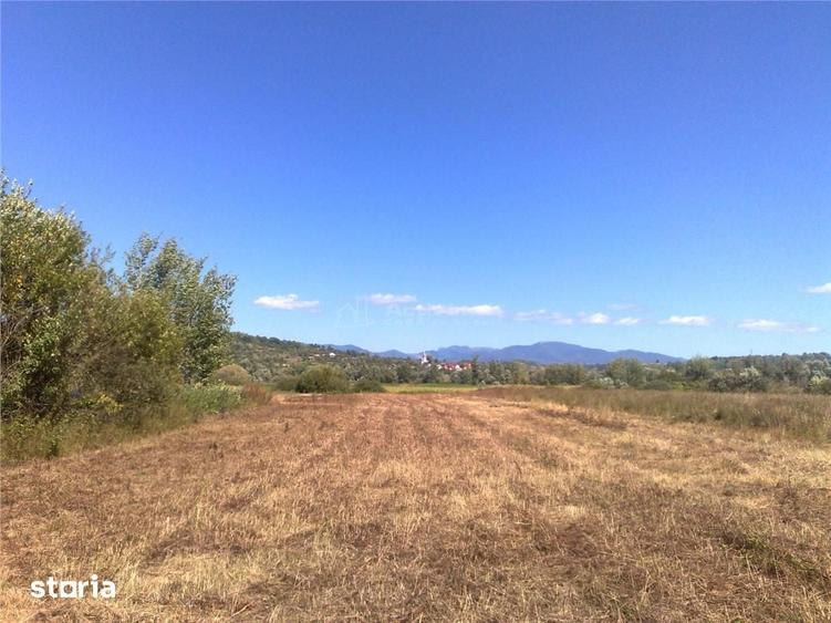Teren de 5500 mp, în Săcălășeni