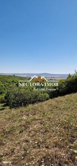 Teren de 3400 mp, în Podgoria