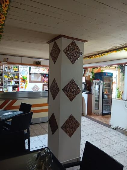 Hotel/Pensiune, de 15 mp, în Aldești