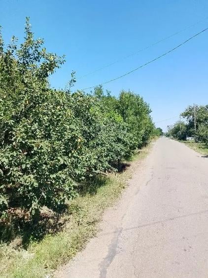 Casă în Izvoarele