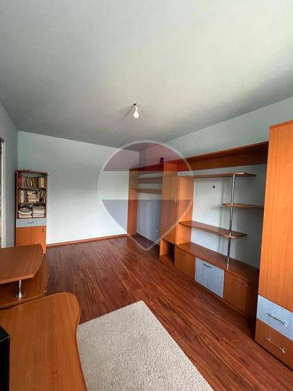 Apartament cu 2 camere semidecomandat în Cina