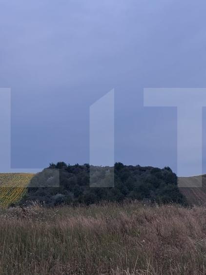 Teren agricol extravilan de 17300 mp, în Soroceni