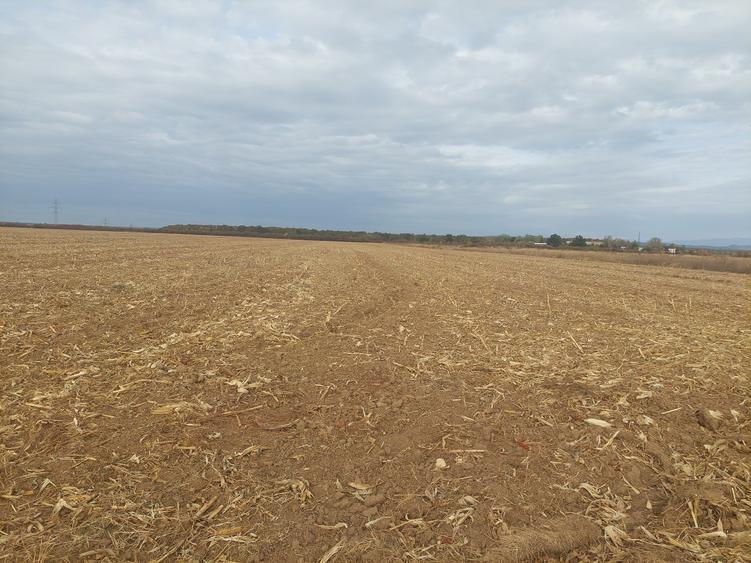 Teren Construcții intravilan de 9844 mp, în Dumbrava