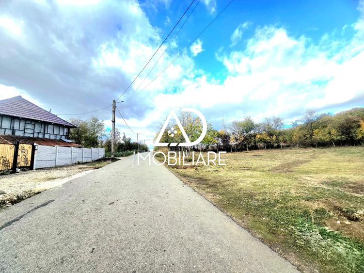 Teren intravilan de 2905 mp, în Bălănești