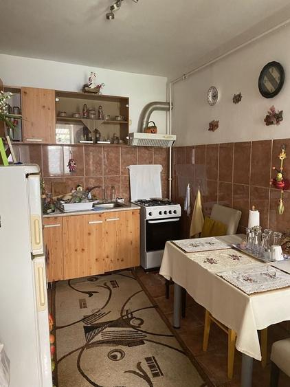 Casă cu 2 camere cu Teren 30 Mp în Sadu