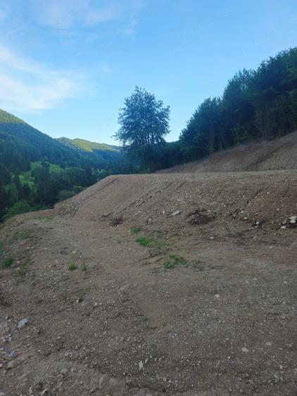 Teren de 10000 mp, în Central