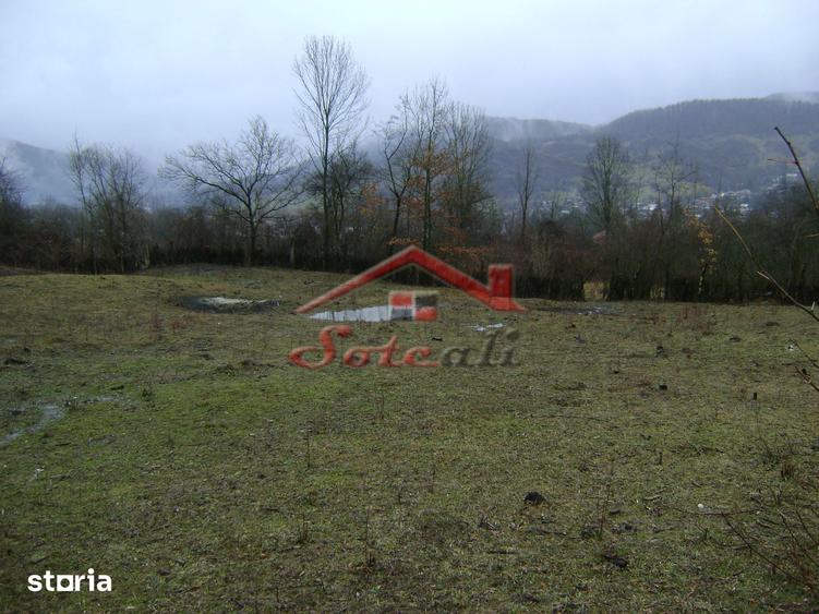 Teren de vanzare in Provita de jos - 2