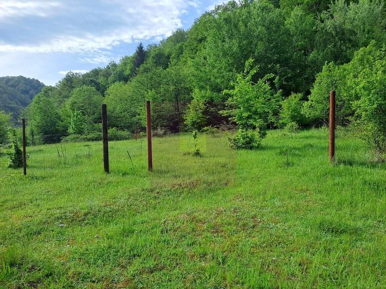 Teren de 834 mp, în Berevoești