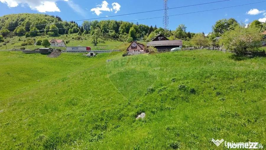 Teren Fundata drum principal - 2756 mp - Fundata (Brasov) - 6