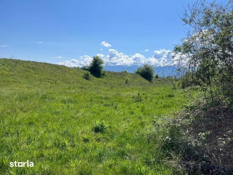 Teren de vanzare Valea Avrigului - 2