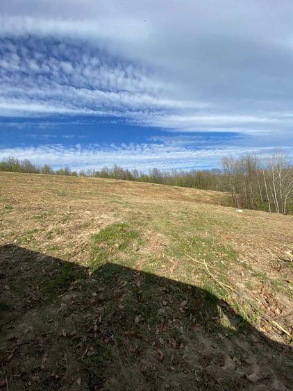 Teren de 55000 mp, în Bârzava