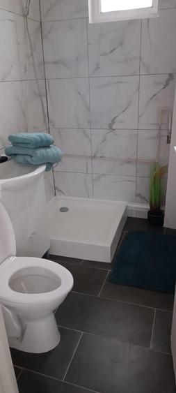 Apartament cu 2 camere decomandat, mobilat în Bălcescu