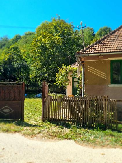 Casă cu 2 camere în Central