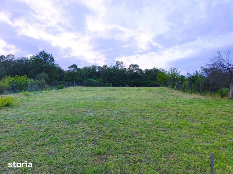 Teren intravilan de vanzare, 2000 mp, deal, padure - 4