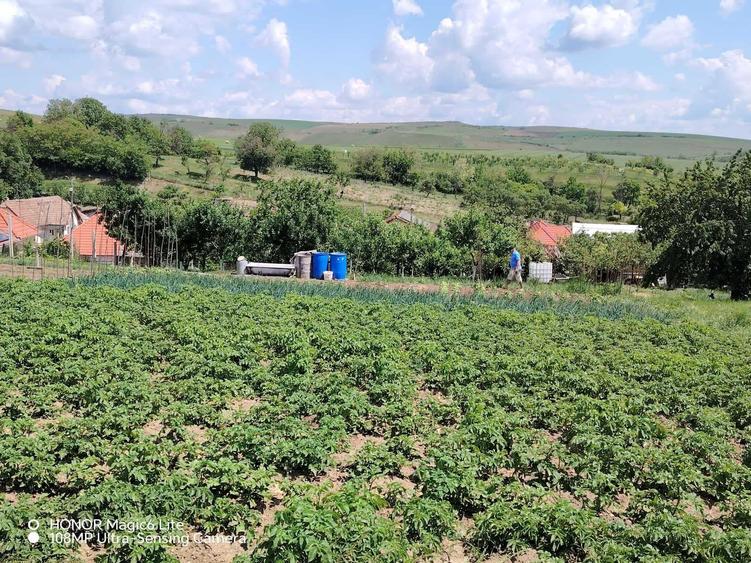 Casă cu 2 camere în Viișoara