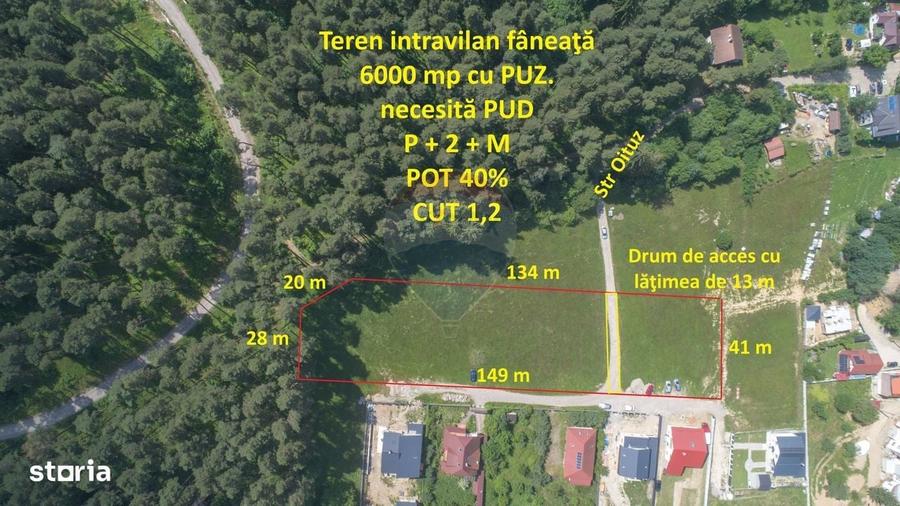 Spațiu comercial, în Poiana Angelescu