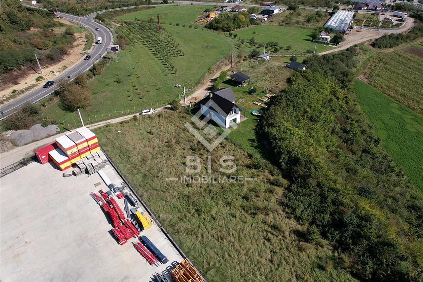 Teren Construcții intravilan de 2500 mp, în Viișoara